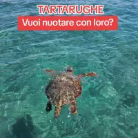 Instagram Image